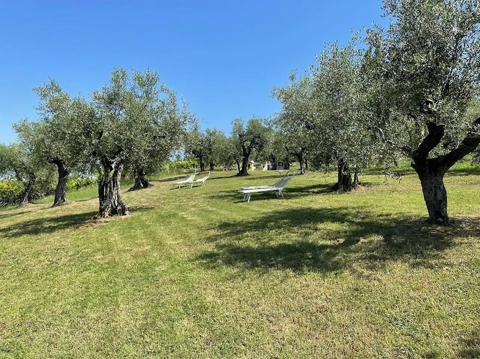 Farm stay Locanda Belvedere Villa Saludecio